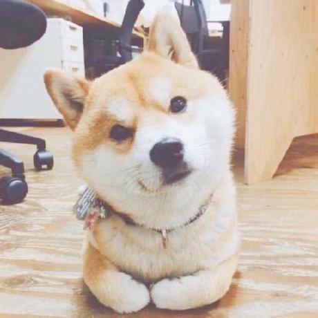 Github Aprilkingking April - Premium Mountain Image Gallery - 4K