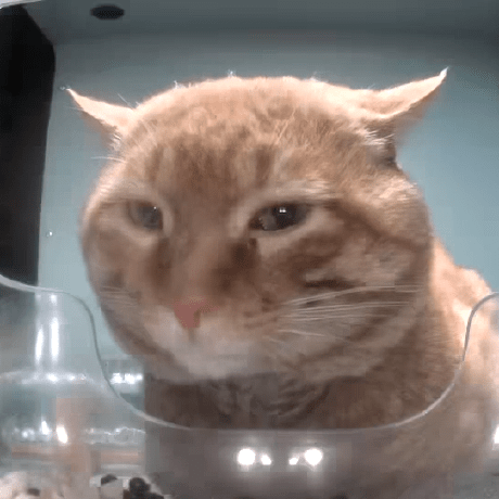 Github Owocado Cogs My Public Collection Of Redbot Cogs - Gorgeous Geometric Image - HD