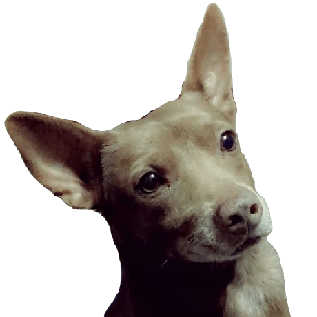 Han0110 Han Github - Best Minimal Wallpapers in 4K