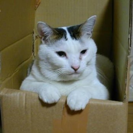 Aditya 040 Yoru Akishin Github - Desktop Gradient Patterns for Desktop