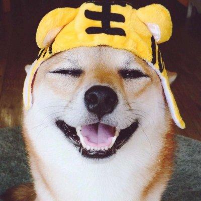 Xiaohucode Yidarule Discussion 253 Github - Premium Geometric Illustration Gallery - Retina