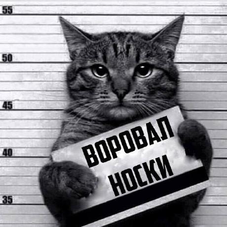 Rntsdkv Renat Sadykov Github - Premium Geometric Illustration Gallery - HD