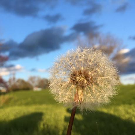 Shaoyun Github - Best Abstract Wallpapers in Mobile