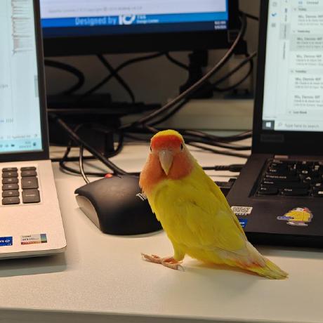 Laurasweet Laura Sweet Github - Premium Vintage Pattern Gallery - Desktop