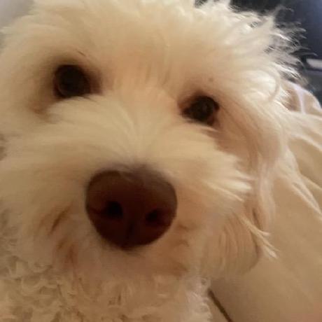 Huang Zhiming Github - Premium Abstract Photo Gallery - 4K