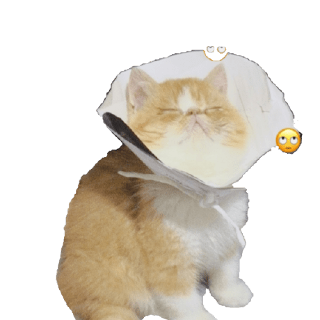 Murungaetyang Evans Murunga Github - Beautiful Mountain Background - Desktop