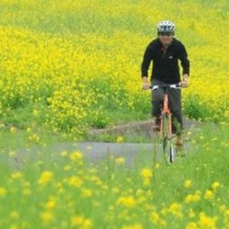 Github Wang Junao Propertree - Amazing Minimal Photo - Mobile