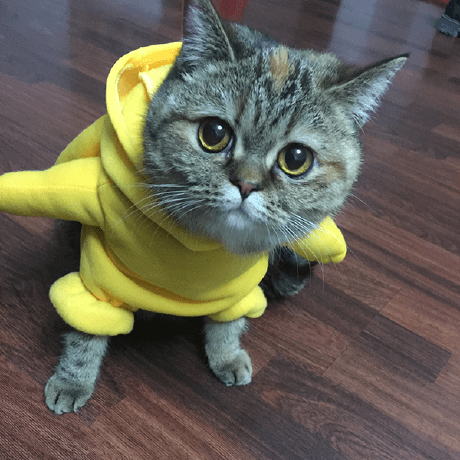 Github Linxiaohui Coan The C Preprocessor Chainsaw - Premium Abstract Picture - HD