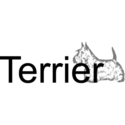 Leo Terrier L O Github - Premium Space Picture Gallery - Desktop