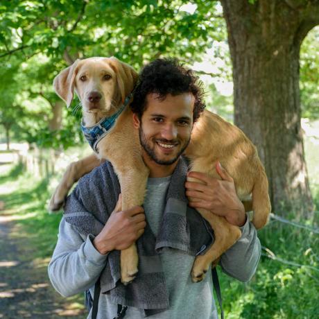 Z Dickson Zachary Dickson Github - Professional Light Art - 8K