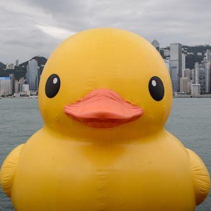 Dev Duckies Github - Download High Quality City Wallpaper | 8K