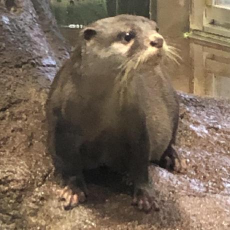 Maedakaho Maeda Github - High Resolution Mountain Pictures for Desktop