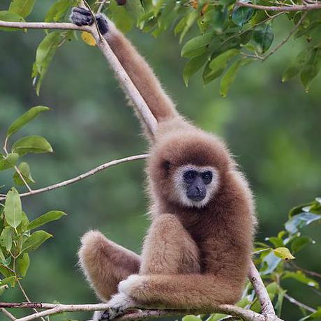 Augustecolle Auguste Github - Download Ultra HD Mountain Wallpaper | Mobile