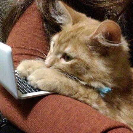 Github Canghai Hyw Hyw - Download Gorgeous Ocean Wallpaper | 8K