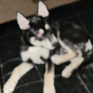 Peyton Peyton Github - Creative 8K Vintage Textures | Free Download