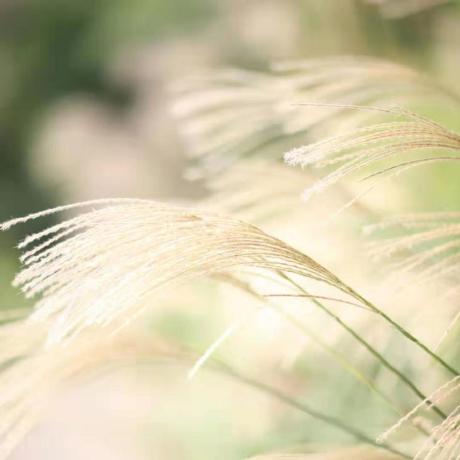 Jonburchel Jon Burchel Github - High Quality Colorful Image - Desktop