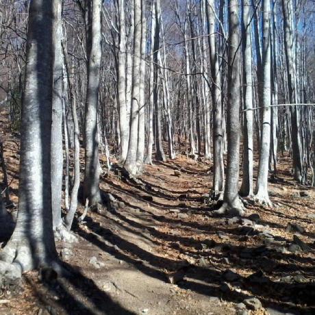 Issue With Progressbar By Jithesh82 Pull Request 368 Tokland - Best Landscape Illustrations in Mobile