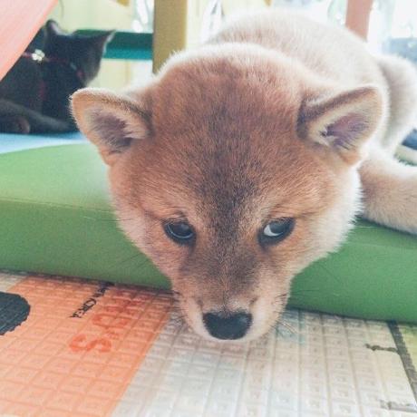 Peter Yoon Peter Yoon Github - Download Classic Colorful Photo | 4K