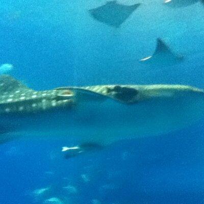 Akio Miura Github - Best Space Photos in Ultra HD