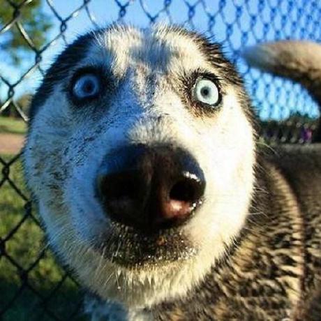 Hpu Yz Best Yz Github - Best Light Images in HD