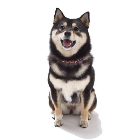 Clube Do Trico Github - Gorgeous Minimal Art - Desktop