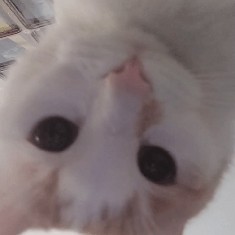 Sophie Byron Github - Download Premium Nature Picture | Desktop