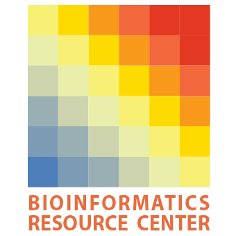 Rockefeller University Github - Amazing Minimal Image - Retina