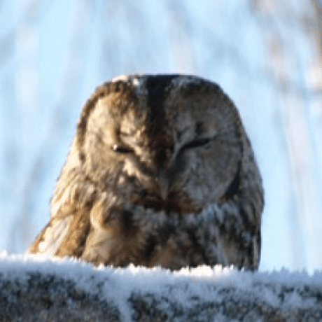 Mam Martin Mortensen Github - Geometric Illustrations - Perfect HD Collection