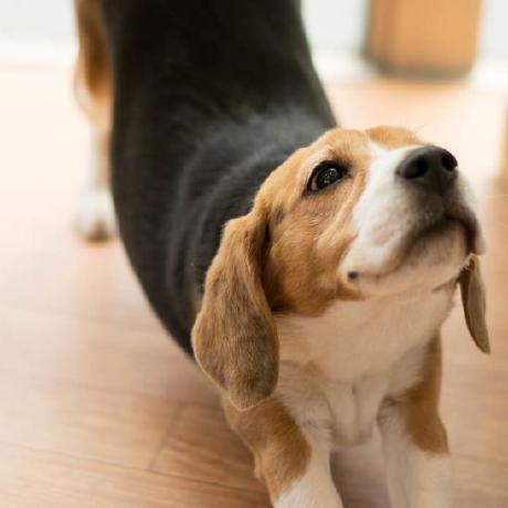 Okazu Paru Github - Premium Light Texture Gallery - High Resolution