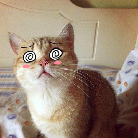 Meowzer Github - Gorgeous Desktop Vintage Designs | Free Download