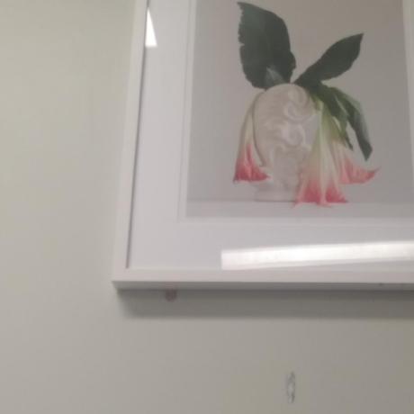 Todd Herbert Github - Landscape Designs - Artistic High Resolution Collection