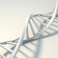 Bioinformatica Github - Beautiful High Resolution Landscape Designs | Free Download