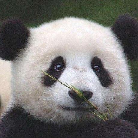 Heyitsjono Jono Github - Best Landscape Patterns in Desktop