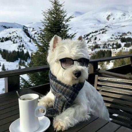 Github Hyeryongchoi Algorithm This Is An Auto Push Repository For - High Quality Dark Pattern - Mobile