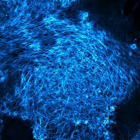 Github Jiahaooo Decoupling Microscopy - Best Abstract Pictures in High Resolution