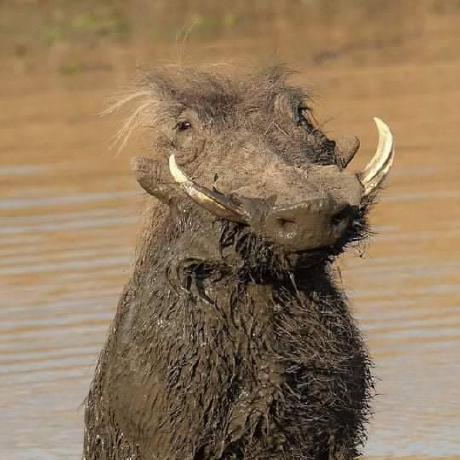 Livil Livil - Professional Retina Minimal Textures | Free Download