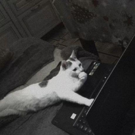 Lionelchristian Hub Lionel Christian Github