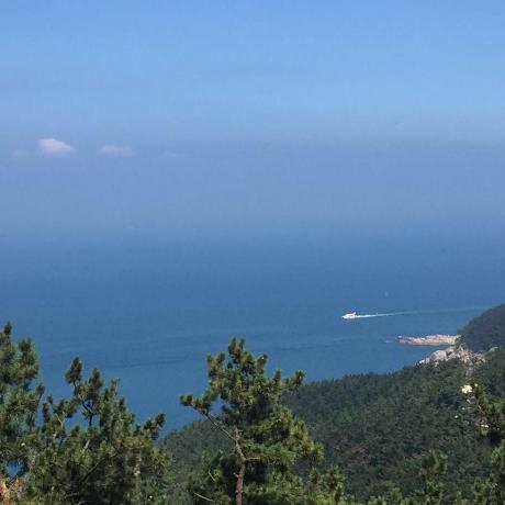 Zhang Xubin Happyday Github