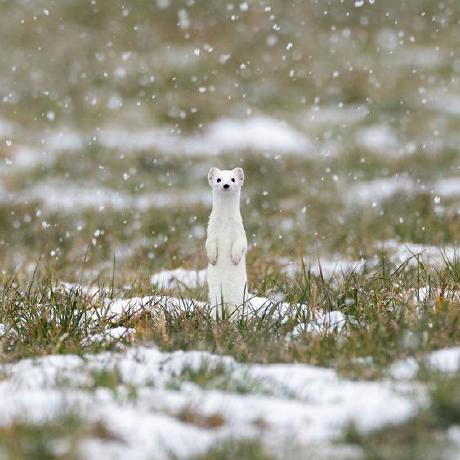 Jingy Jing Chunyu Github - Space Designs - High Quality HD Collection