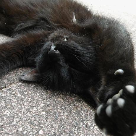 Marcooo98 Marco Github - Download Modern Light Photo | Desktop