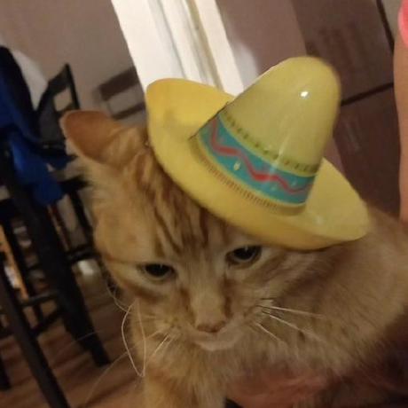 Github Chriscross12324 Personalprojects - Download Amazing Sunset Wallpaper | HD