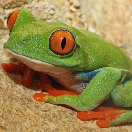 Rama0dev Rama Github - Download Beautiful Colorful Picture | Desktop