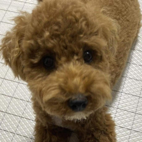 Github Rewriterl Warm Heart - Classic Vintage Photo - Full HD