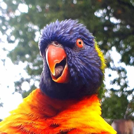 Hazakurain Haz Github - Gorgeous Space Picture - HD