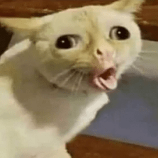 Logancome Logan Github - Premium Colorful Illustration Gallery - Ultra HD