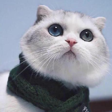 So Huii So Hui Github - Download High Quality Colorful Background | Retina