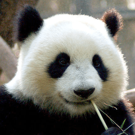 Github Simplebam Readhub - Creative Desktop Geometric Patterns | Free Download