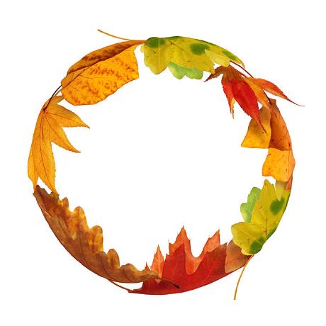 Valentina Hub Hub Github - Beautiful 8K Dark Images | Free Download