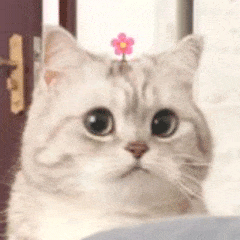 Tengtengh Tengteng Github - Beautiful City Wallpaper - Ultra HD