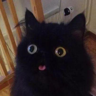 Github Clpr Countyplus An Open Source County Level Panel Dataset For - Ultra HD High Resolution Light Wallpapers | Free Download